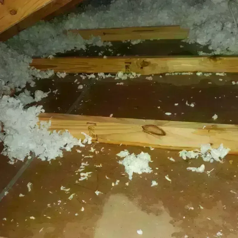 Attic Water Damage in Gardner, KS