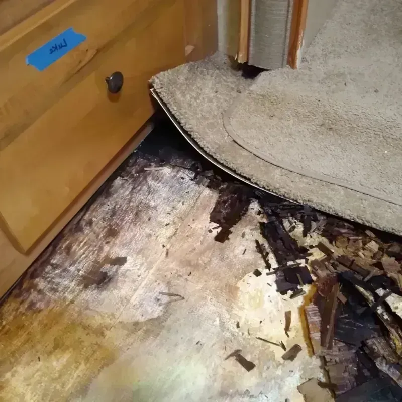 Wood Floor Water Damage in Gardner, KS